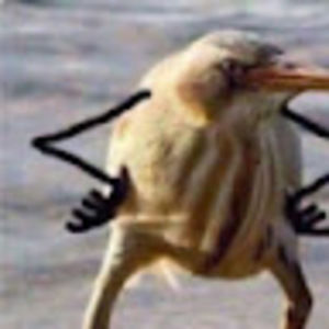 Meet your Posher, Ur local